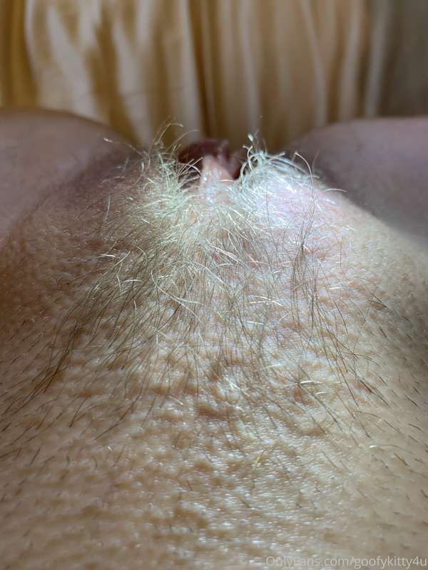 Up-close pussy hair pix 2