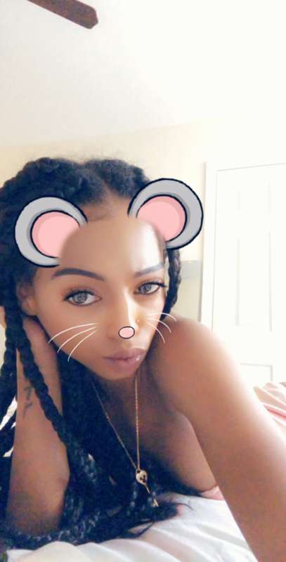 🐭