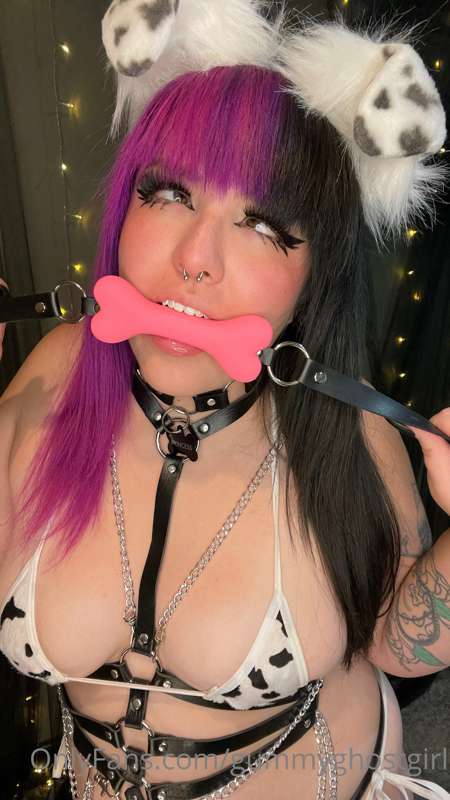 I’m a good pupper, give me pets 🖤🐾 15