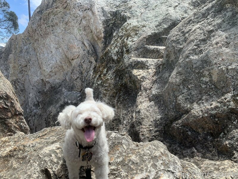 July 21st was our 8 year anniversary!! We went rock climbing.. 1