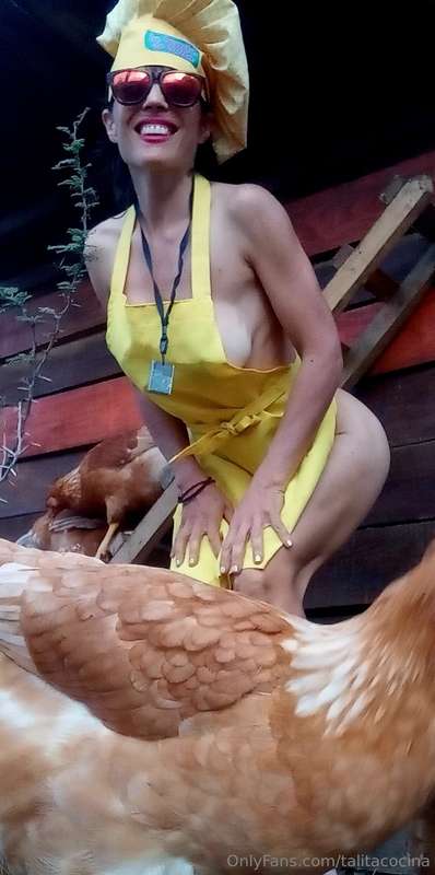Mis amigas las Gallinas 🐓🐓🐓🐥🐤🐣#lagranjadetalita👩‍🍳❤️ 2