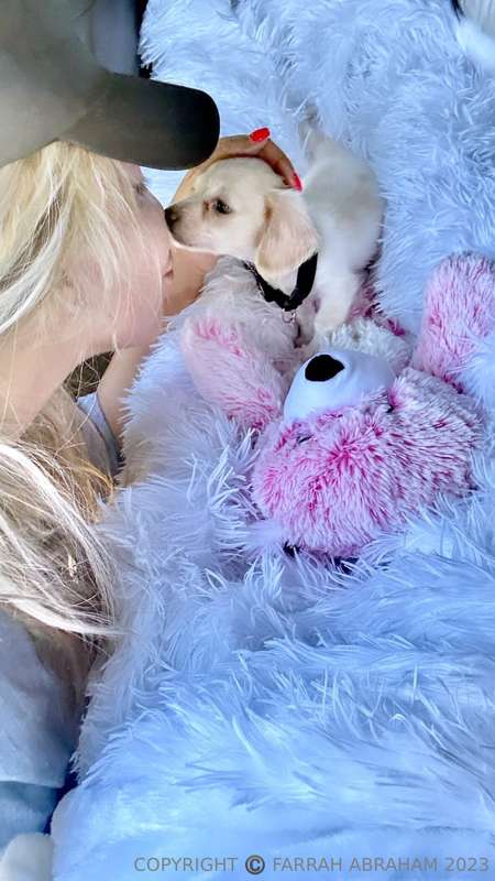 My Man got me a baby puppy 🐶 today ! What should I name my p.. 3