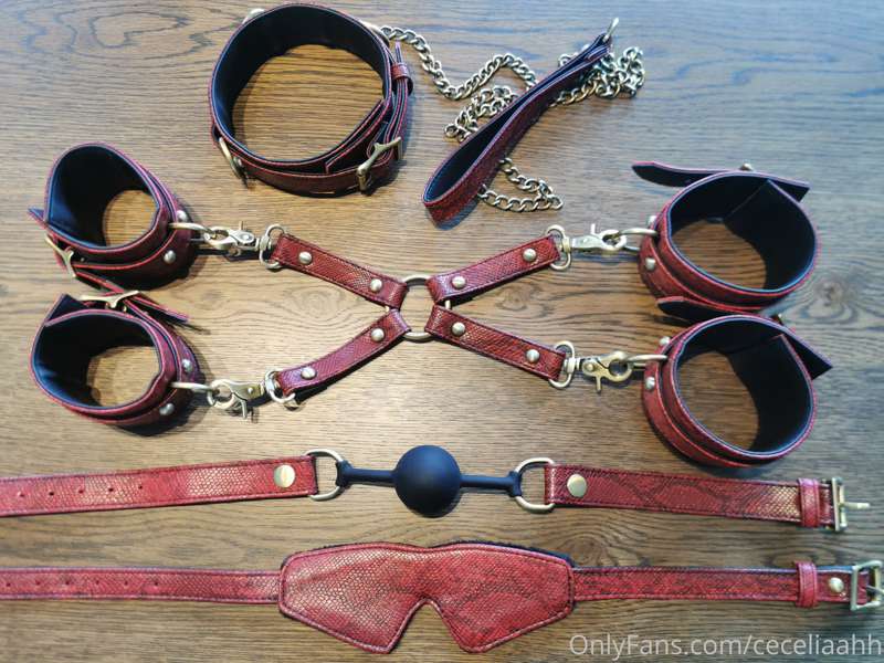 I had so much fun with the hogtie... I thought I would expan..
