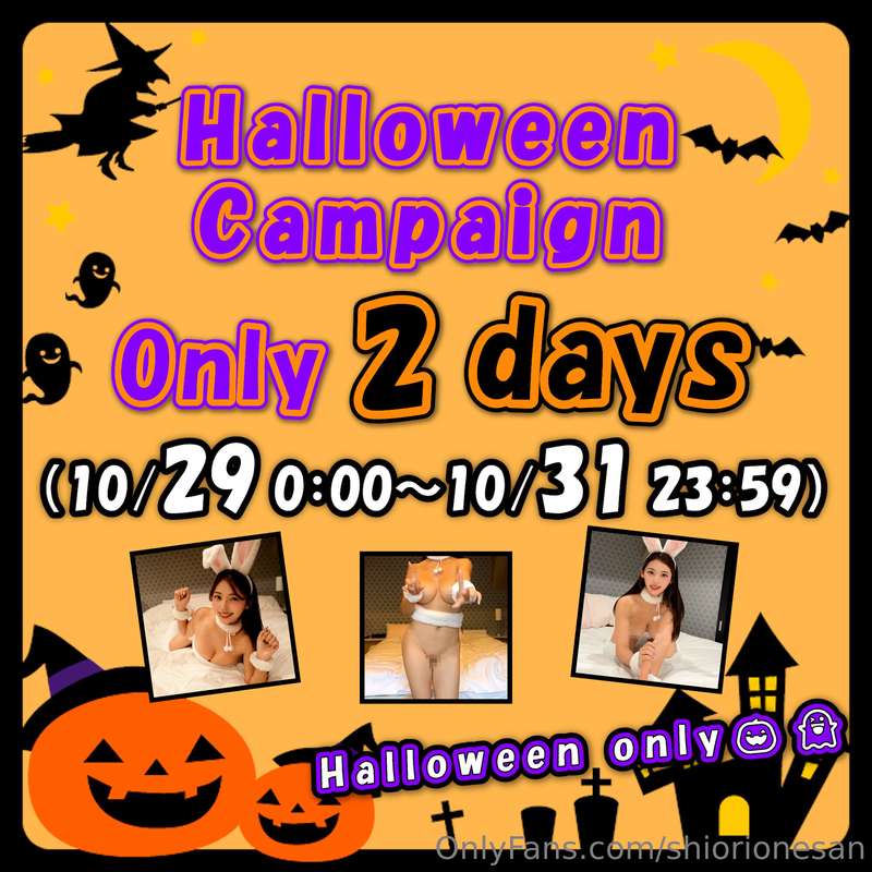 This is the [Pumpkin Pack🎃] which is only available for 2 da..