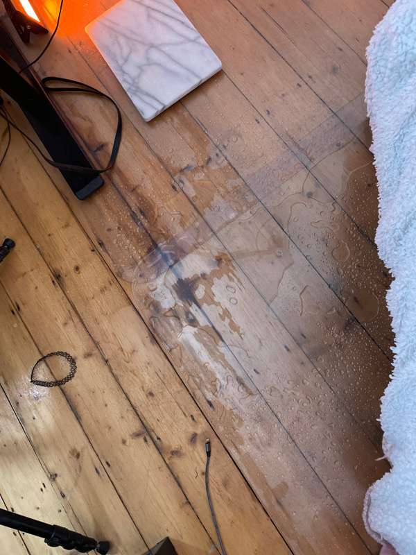 Can I come to your house and make a mess? 😏

***Pssst!…*** T.. 5