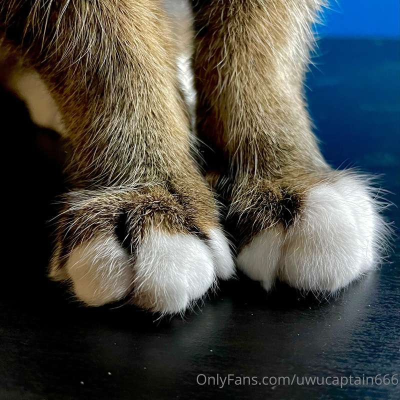 Only Pawss of The Real Touki ☺️☺️
ALL THE TIPS IS GOING TO T.. 2