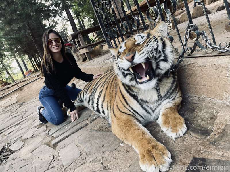 🐅 This weekend❤️