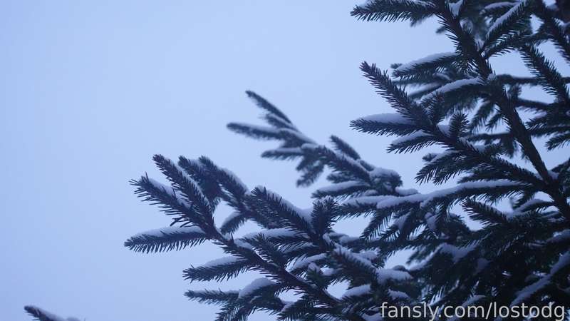 Lostodg - Fansly - 26 Feb, 2023 4