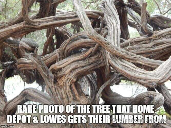 Meme of the Day!