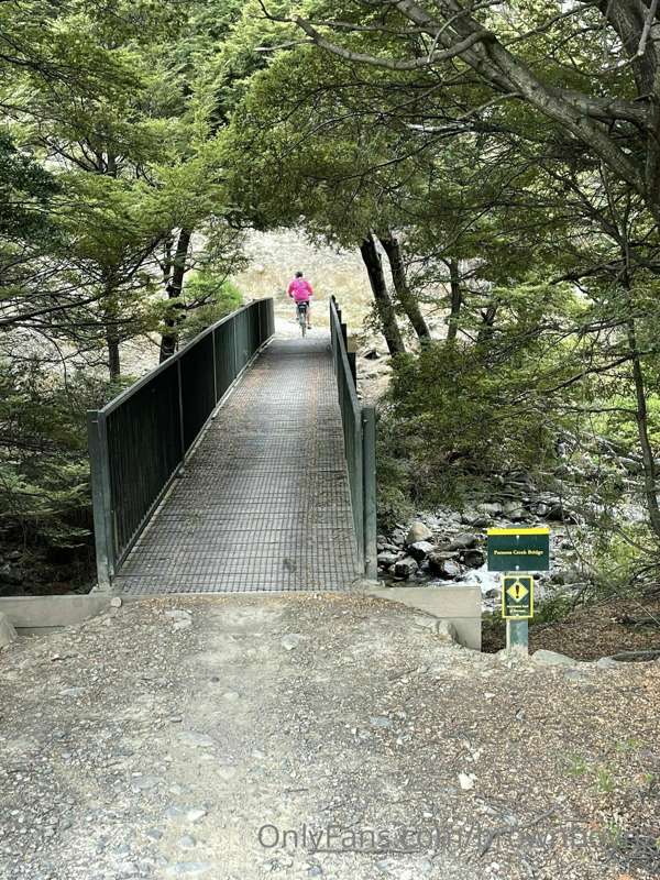 More photos from last week hike 6