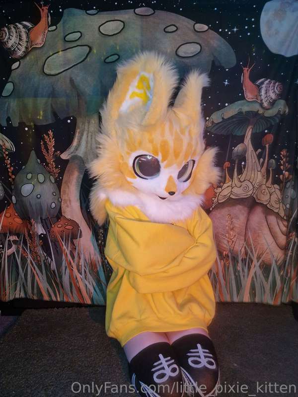 One of my new fursuit heads, Kiko aka Lil Tra$h Bby 💛 🗑 1