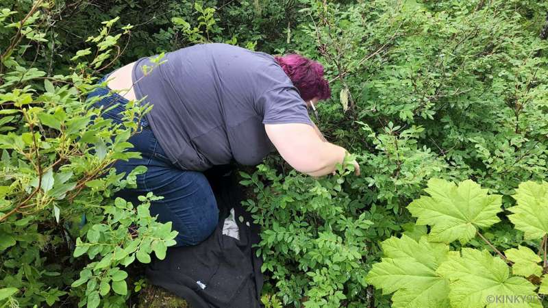 I did the nature-ing thing today. Picked blueberries, found .. 1