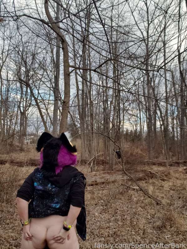 Spenceafterbark - Fansly - 02 Mar, 2023