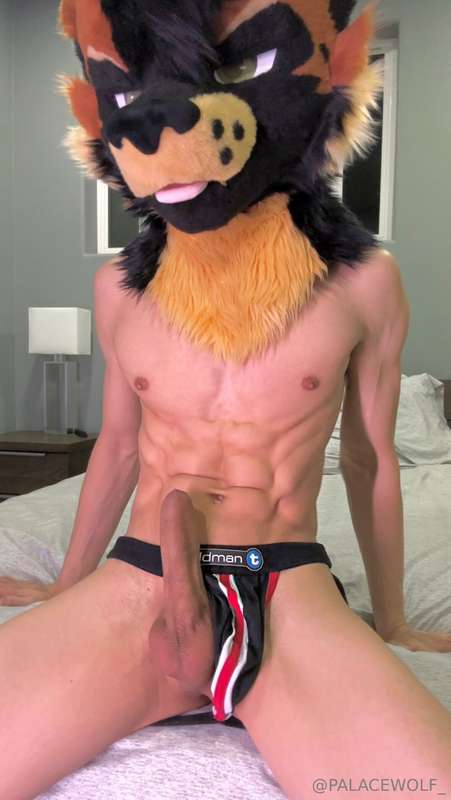 [MULTIPLE PHOTOS]Selling one of my used jocks! Interested in.. 1