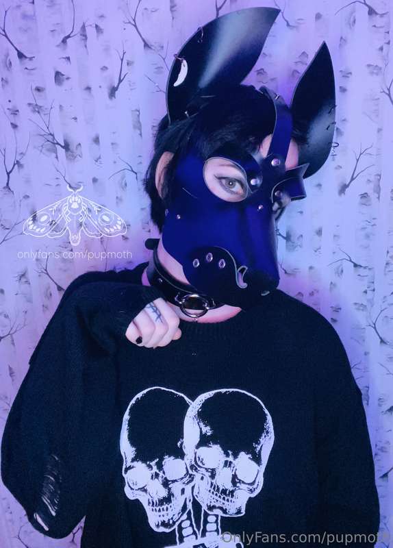 arf arf arf