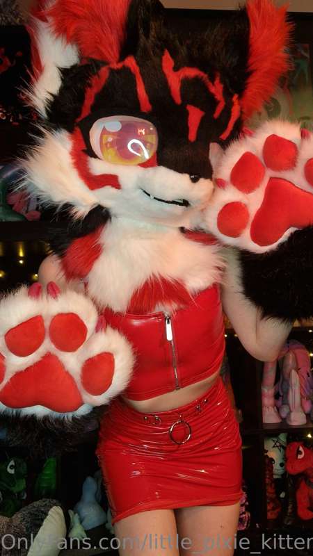 Some furry pictures ❤️ 4