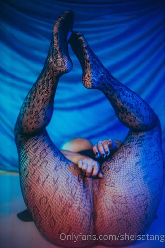 Fishnet booty 6