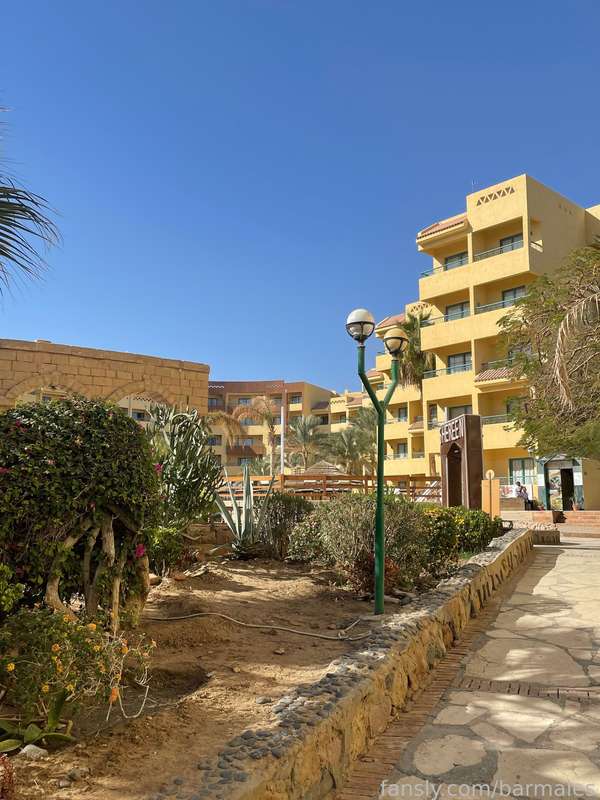 Barmales - Fansly - 26 Dec, 2022 13