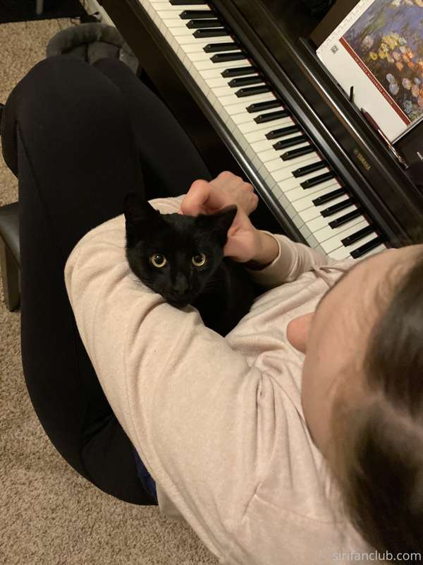 Non-sexual update: I got a kitten today! Georgia Binx has a .. 1
