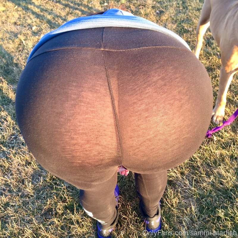 Taking the dog for a walk in the park 😉 15