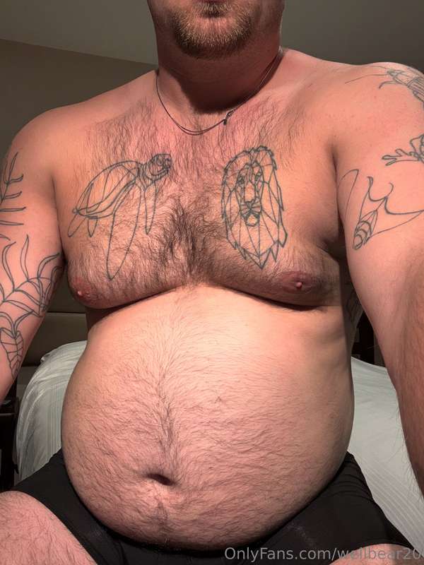 Recent fat updates  3
