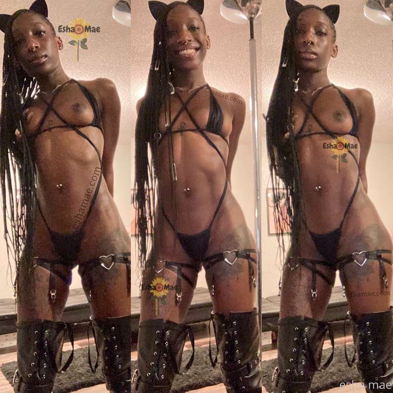 hi 🖤💣 
back like i never left