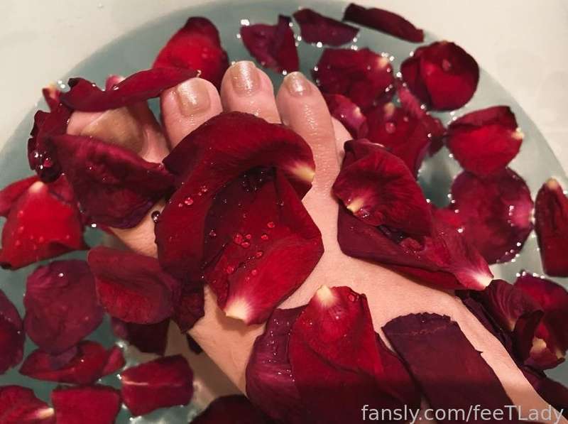 Feetlady - Fansly - 19 Feb, 2023 8