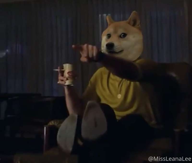 Whenever I see Doge anywhere.