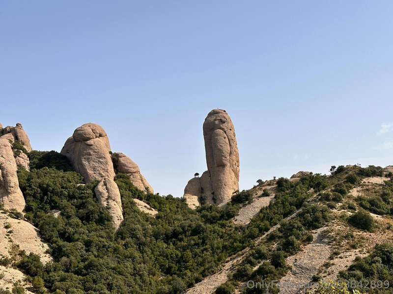 This summer in Spain, one memory still deeply troubles me. I.. 1