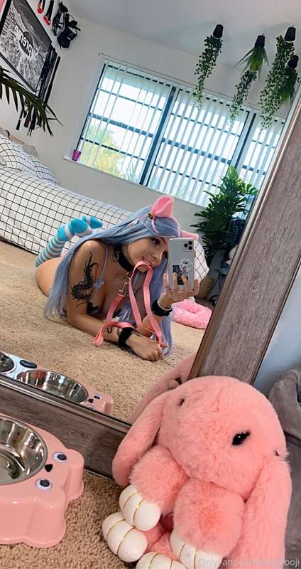 Kitty set Pt. 1 💗🐟🐾 I want head pats 😼 18