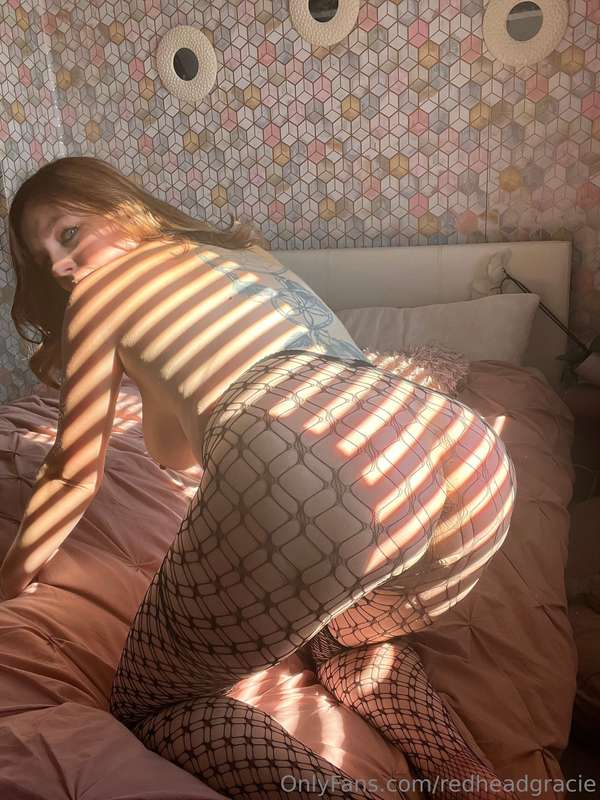 # Happy hump day can I sit on your lap? 