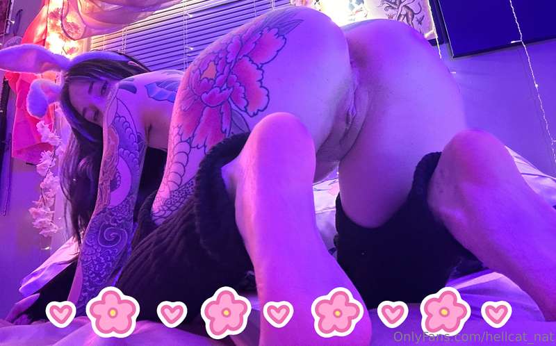 Threw on my bunny undies for a lil late night lewd session…... 4