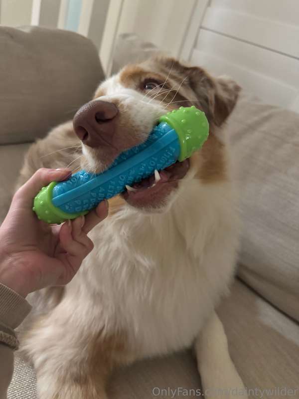 Wholesome feed break 🐾 Who else loves those simple, joyful m..