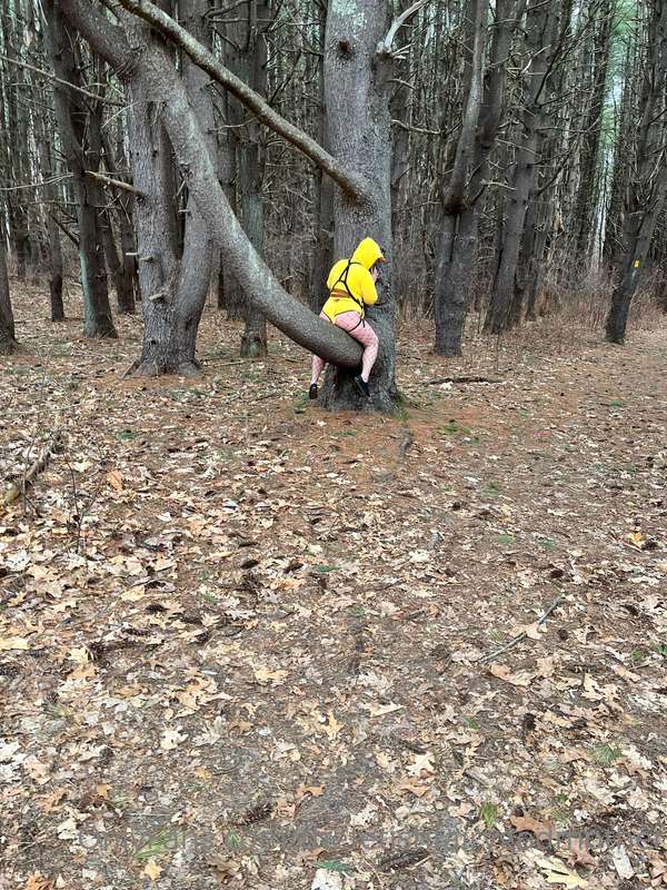 Peggachu!!! In the wild being feral!! 30