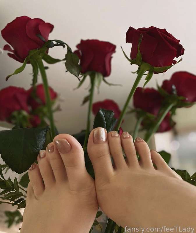 Feetlady - Fansly - 14 Feb, 2023 9