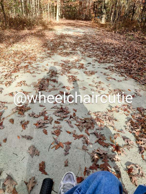 Wheelchaircutie - Fansly - 21 Nov, 2022 8