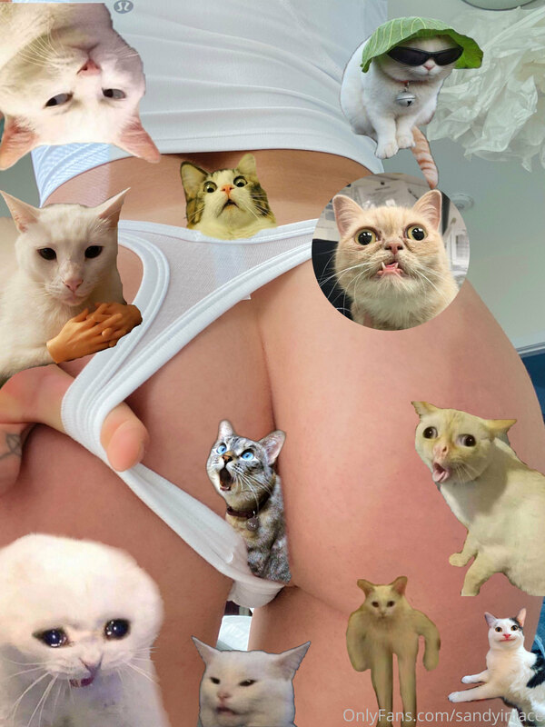 Unlock to eliminate all but one pussy...
Possibly the cutest..