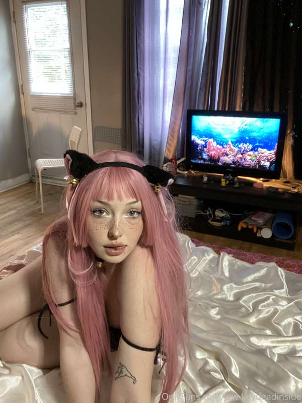 More cat content 🐱 3