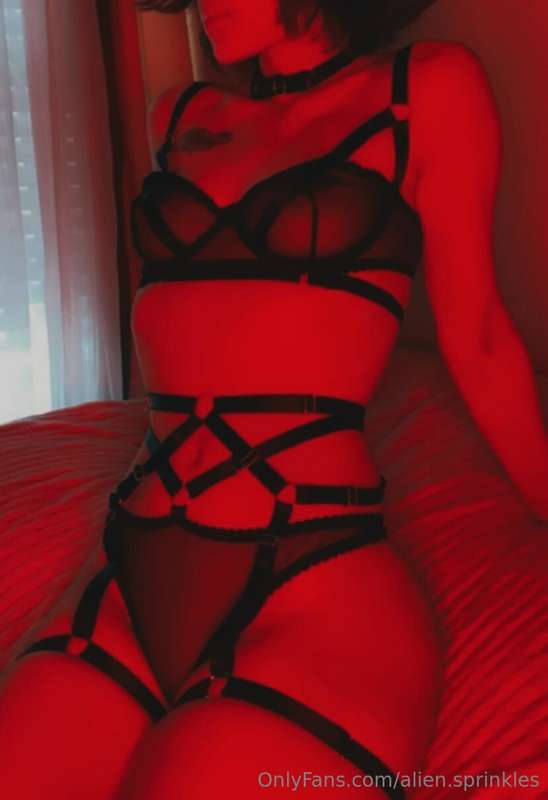 ❣️🩸❣️🩸❣️ 1