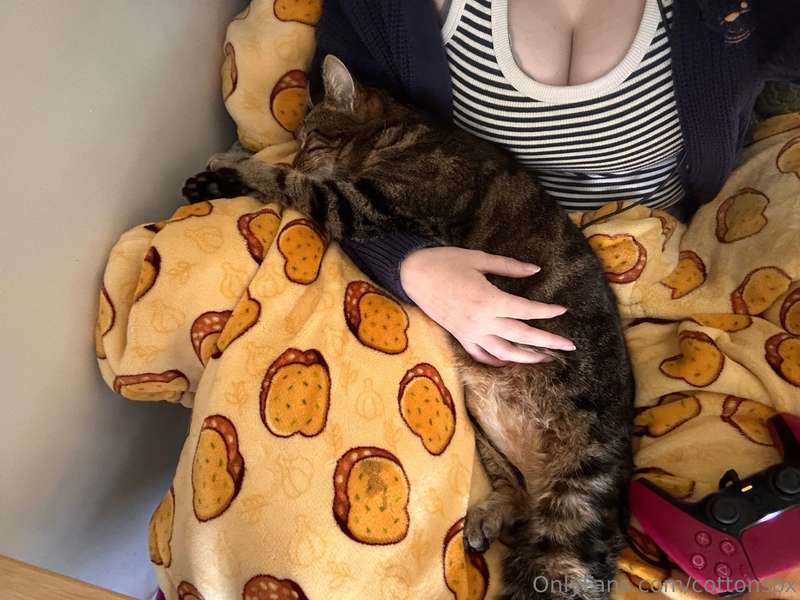 Sad Post Warning, cat diedLoving someone or something is dan.. 7