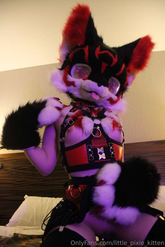 Koji pics in the hotel! ♥️🖤🤍 15