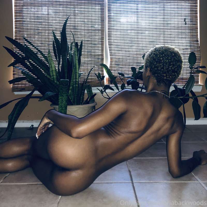 Briabackwoods - Onlyfans - 03 Aug, 2019 2