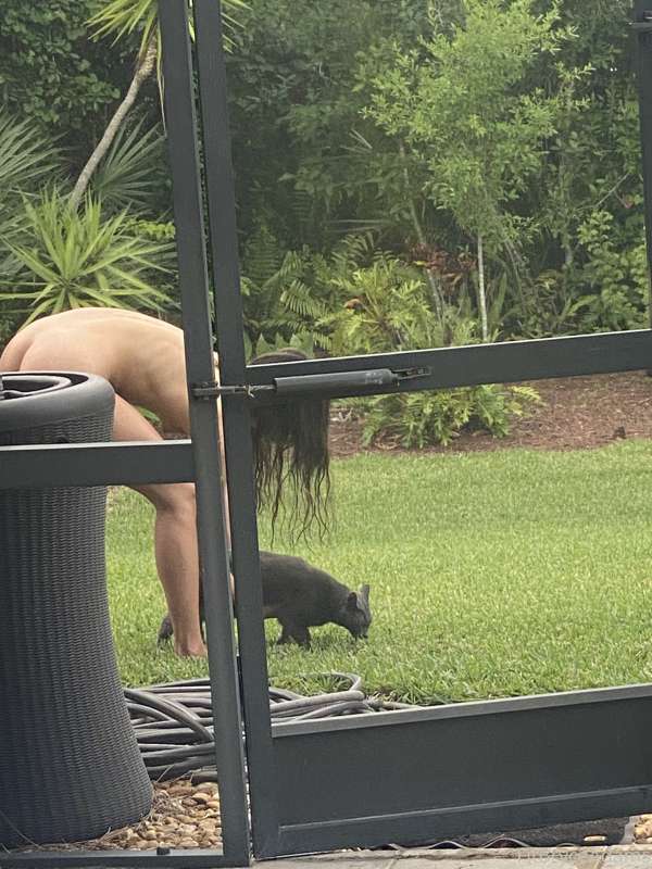 This little guy has lived here longer then we have! He's the.. 1