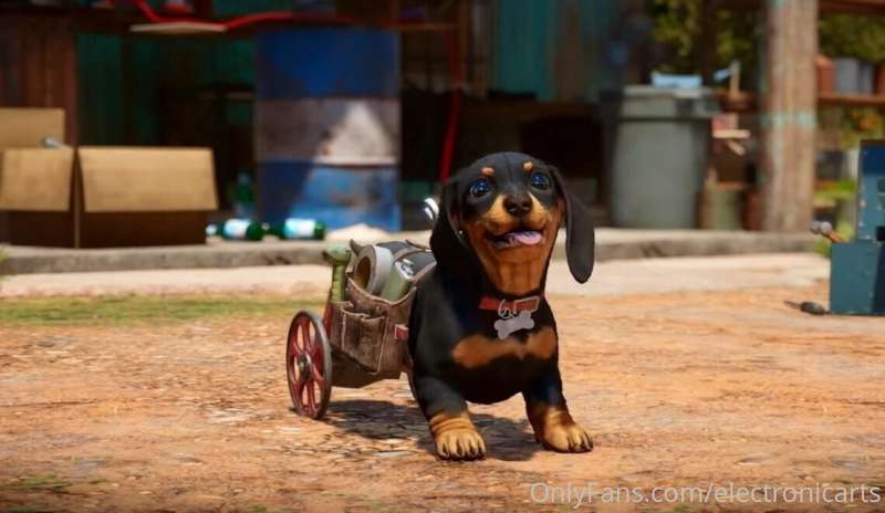 He's so cute but you know we would charge for him...Let's sa..