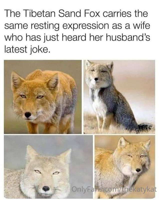 Memes! 7