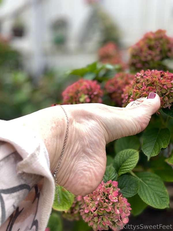 In early fall’s tender bloom, my garden whispers truths— To .. 1