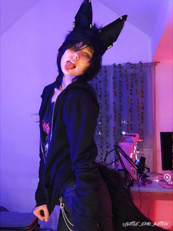I bought myself Anubis ears and tail. Do you like me more wi.. 2