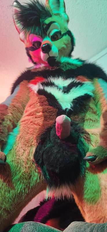 Come touch some yote balls 😘 4