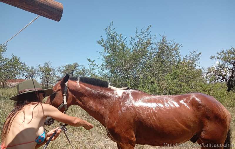 Este 2024 vamos a cocinar juntos en la Granja de Talita Chef.. 7