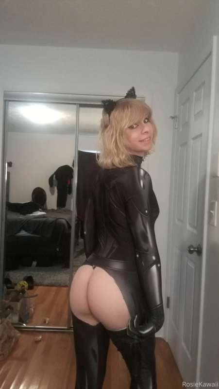 cat noir set 1/4 x :3 11